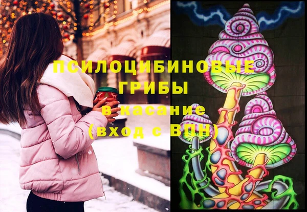 прущая мука Алзамай
