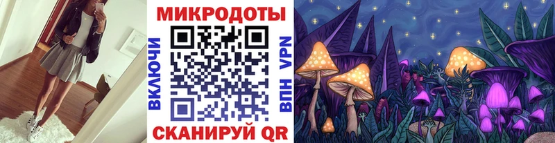 Псилоцибиновые грибы MAGIC MUSHROOMS  цена наркотик  Апатиты 