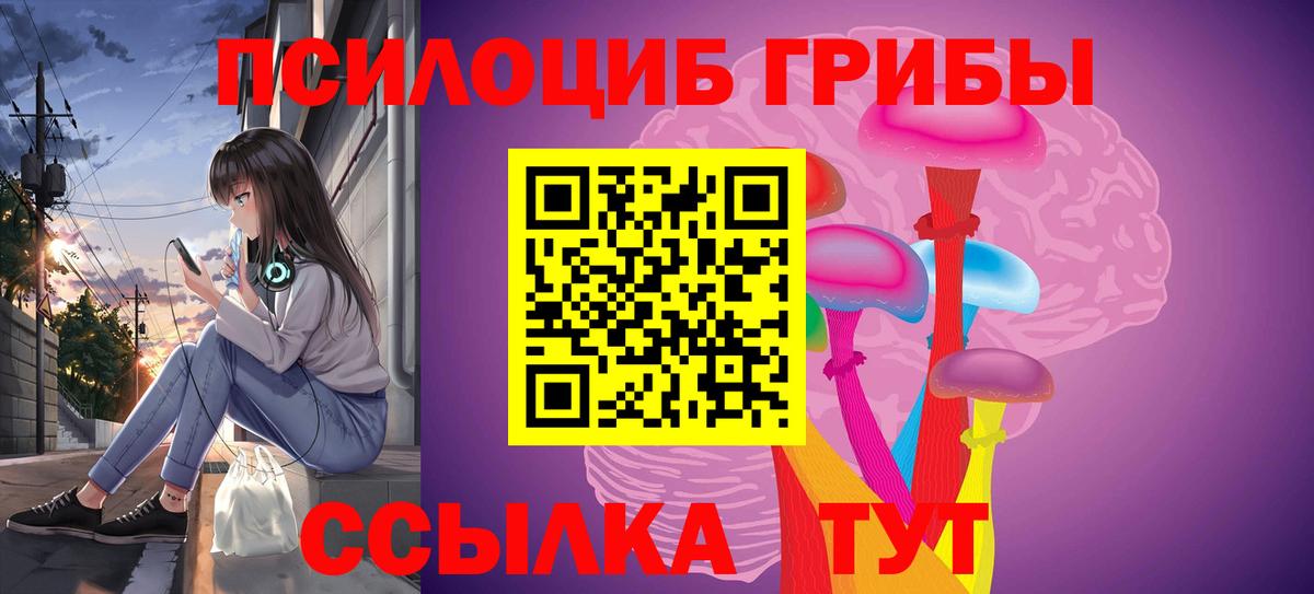 Псилоцибиновые грибы Psilocybine cubensis  Вход с VPN  Апатиты  Псилоцибиновые грибы ЛСД 